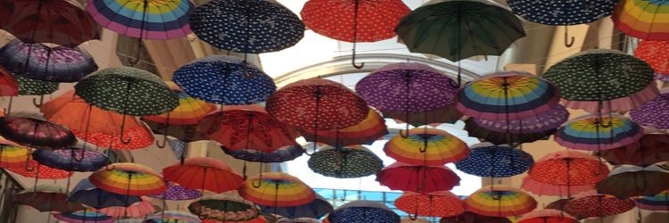 Shaima alsayegh banner