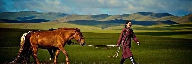 tozbulutus_'s profile banner image