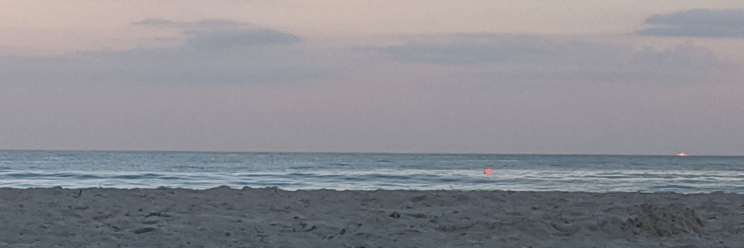 LadyWackadoo's profile banner image