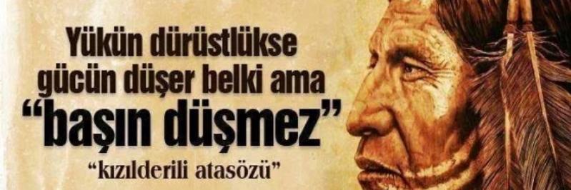 salmanaltun's profile banner image