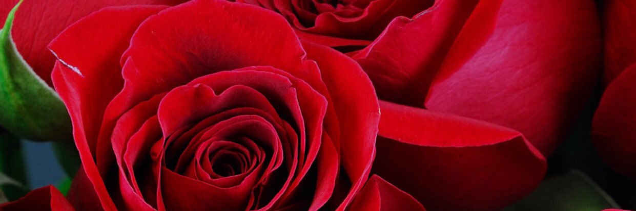 lorreign_'s profile banner image