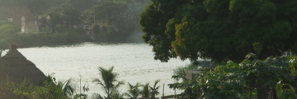 PjZerbo's profile banner image
