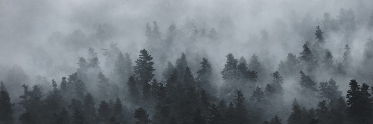 eyourappa's profile banner image