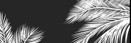 naclh2ochick's profile banner image