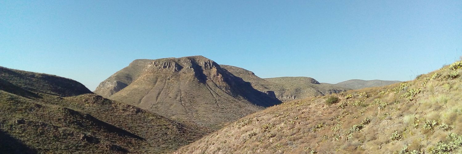 forestal_manuel's profile banner image