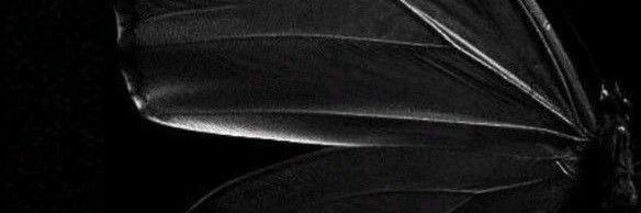 defplague's profile banner image