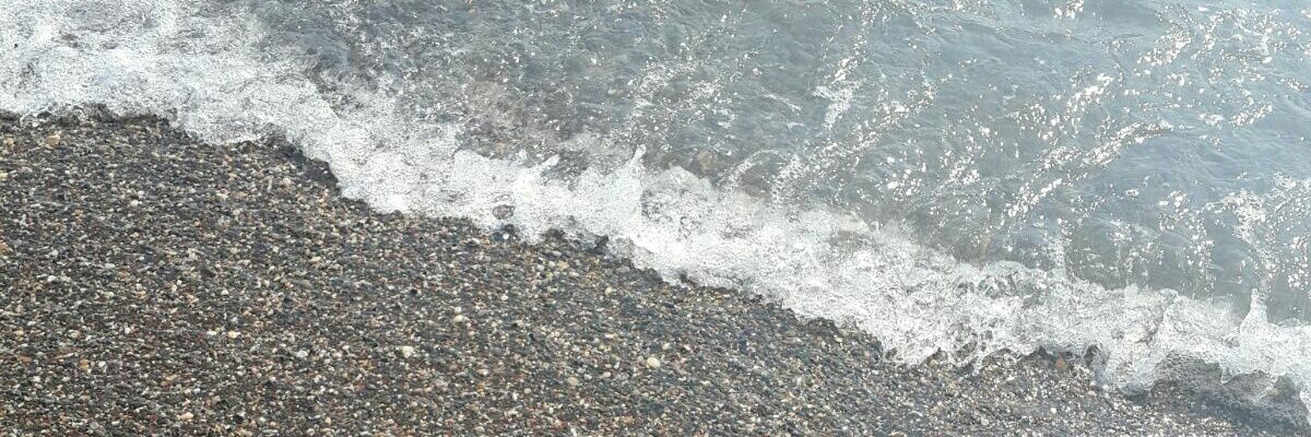 ali8484's profile banner image