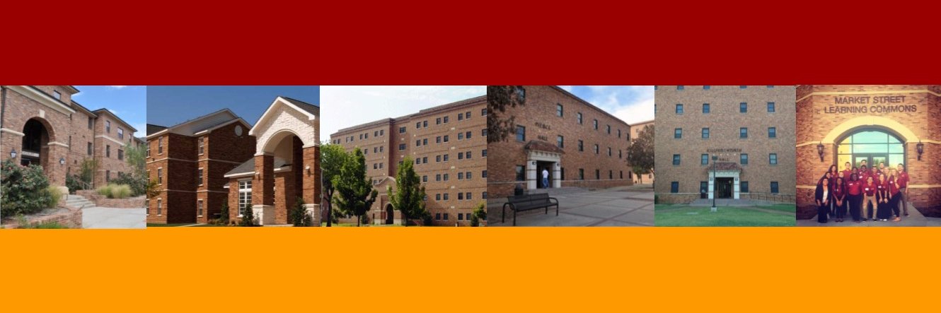 MSUTexasHousing banner