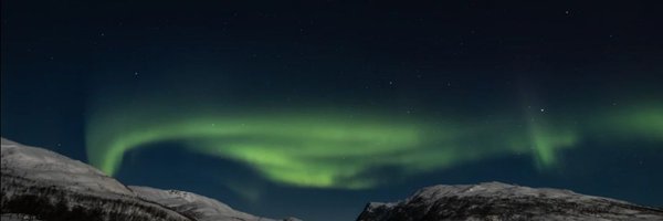 yoggi2309 Profile Banner