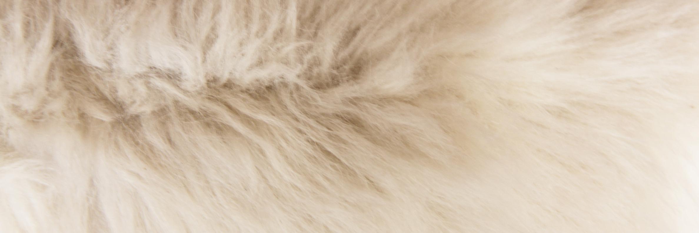zichrini's profile banner image