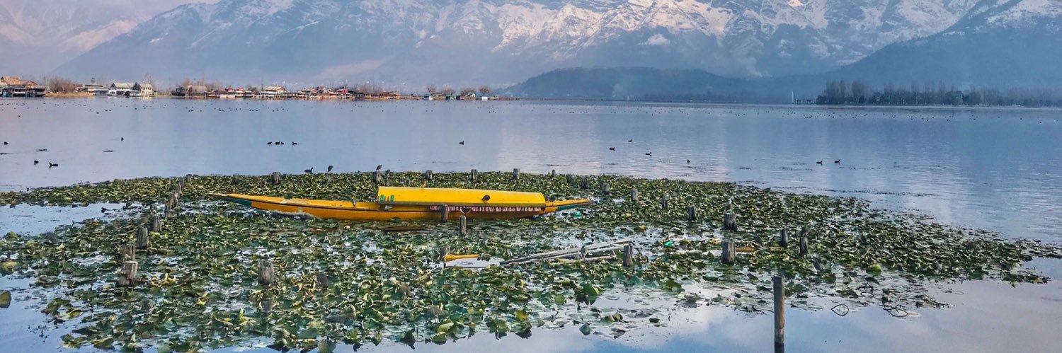 Posedkashmir🍁 banner