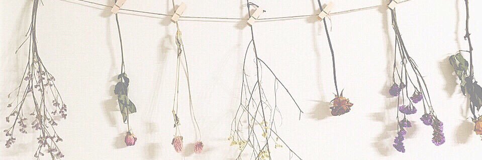 ___mxrxt's profile banner image
