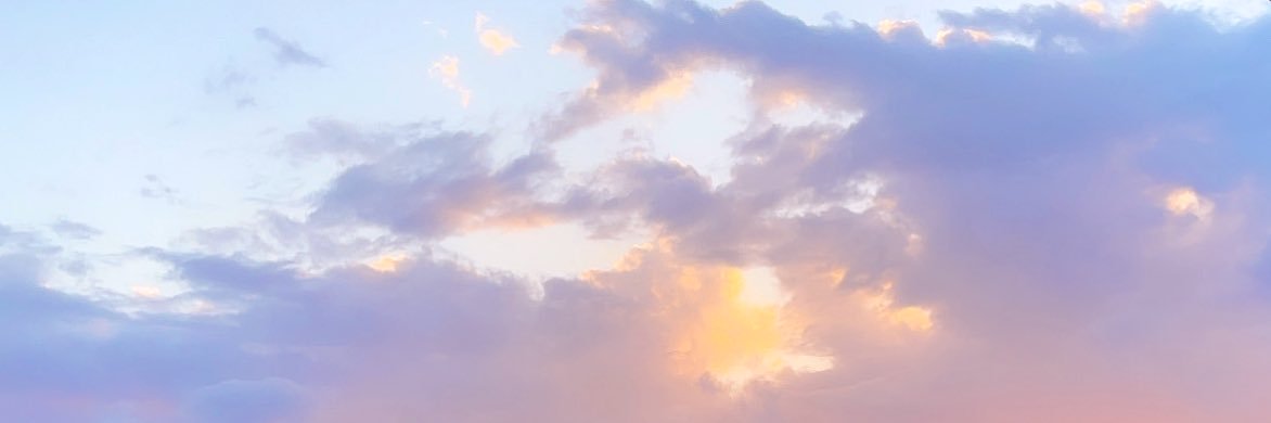 quesadaleah's profile banner image