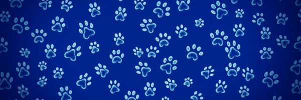 Dogveloper Profile Banner