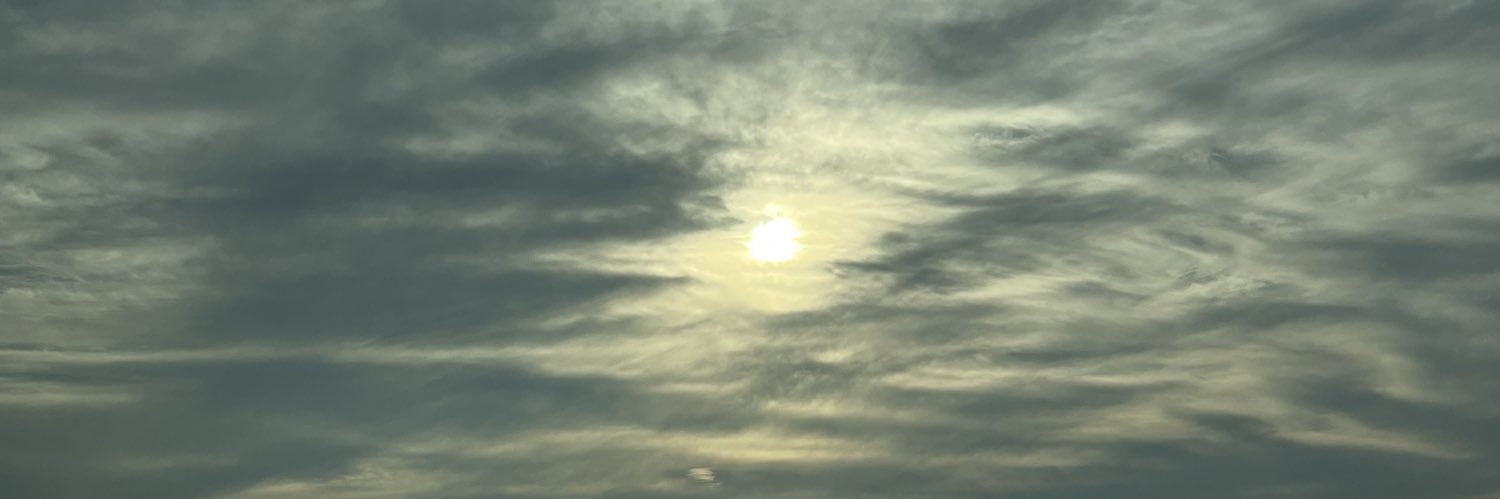 _carogarza's profile banner image