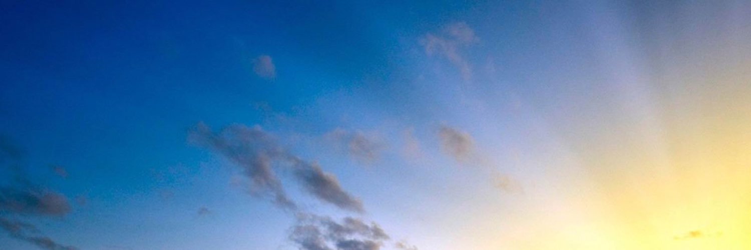 djurata's profile banner image