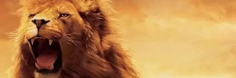 DanuDharmendra's profile banner image