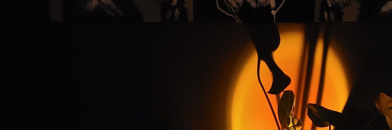Xitzzy01's profile banner image
