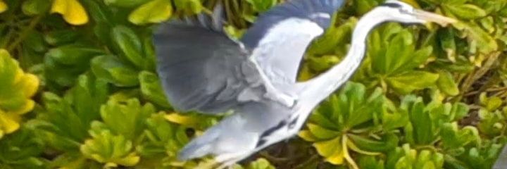RaashidVp's profile banner image