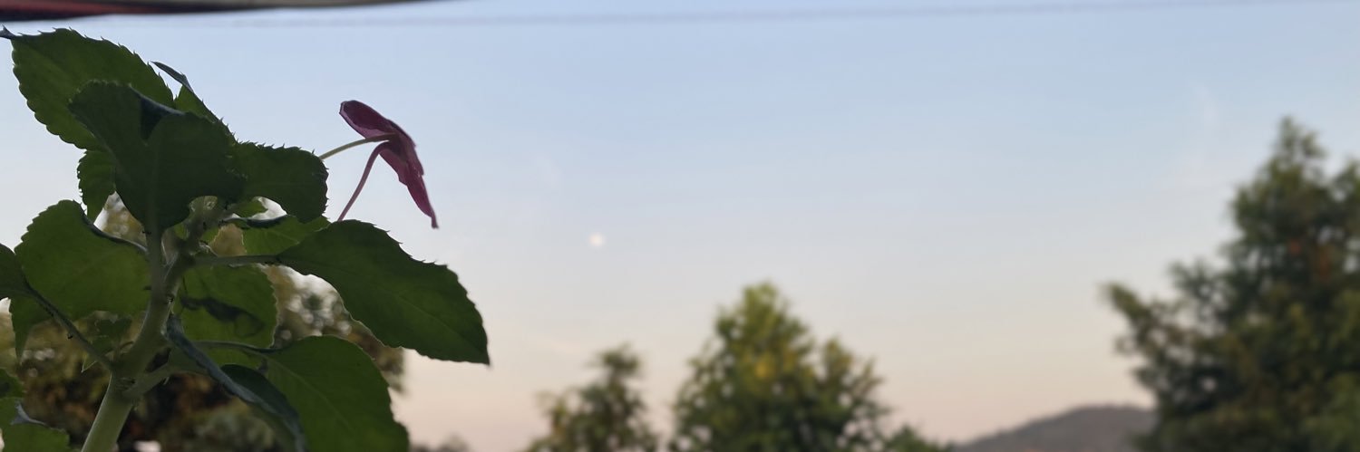 VinnyStz's profile banner image