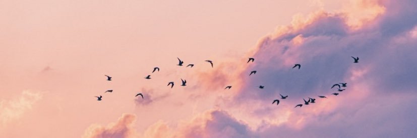 Luciana Monteiro banner