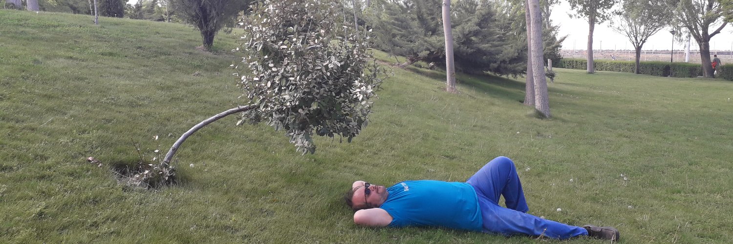 MSigarian's profile banner image