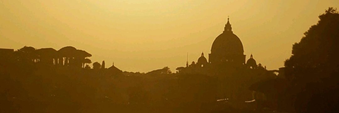RealTNMR's profile banner image