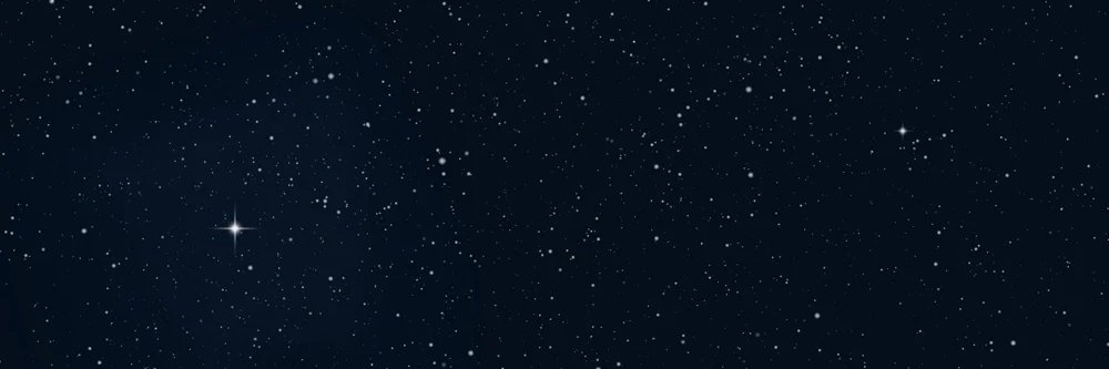 Lady__Ledger's profile banner image