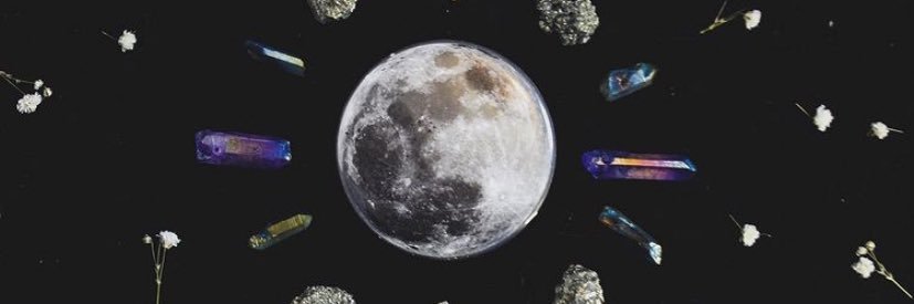laShanz's profile banner image