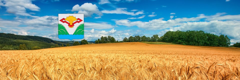 Медведев Владимир banner