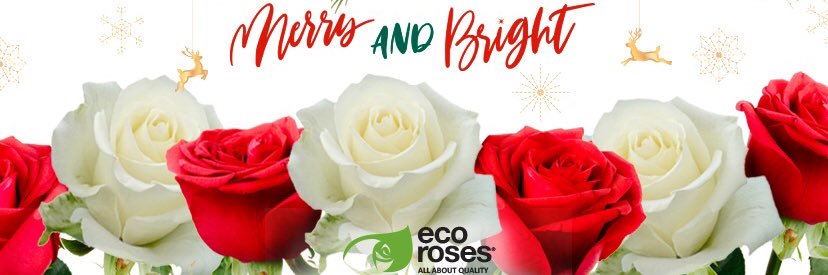 EcorosesSA's profile banner image
