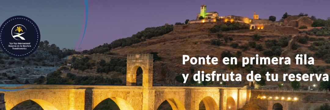 Taejo Internacional banner