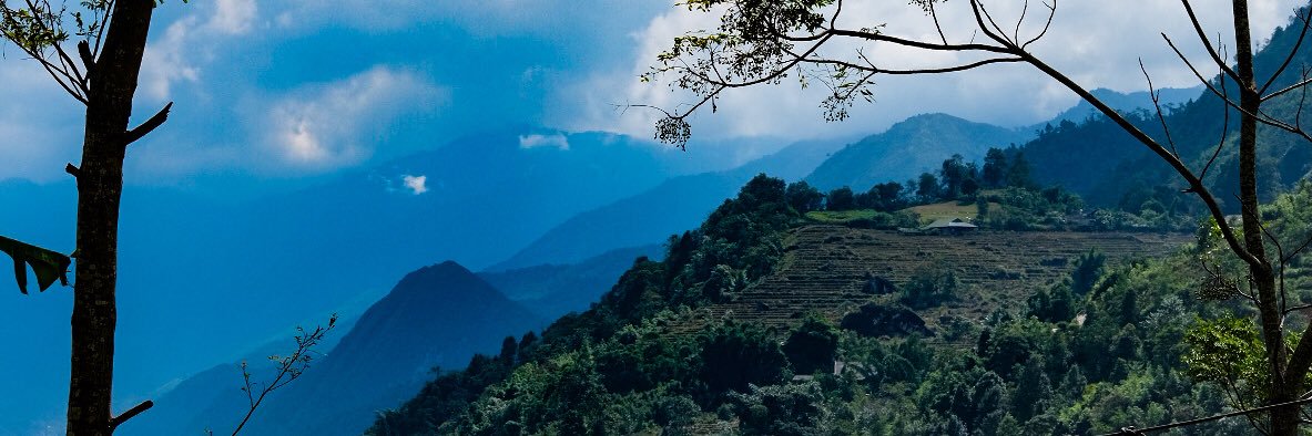 Florence Halstead 🌍 banner