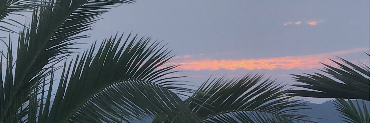 lisabmj's profile banner image