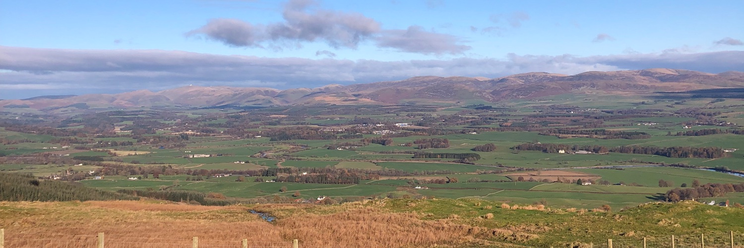 Elspeth Nicholson banner