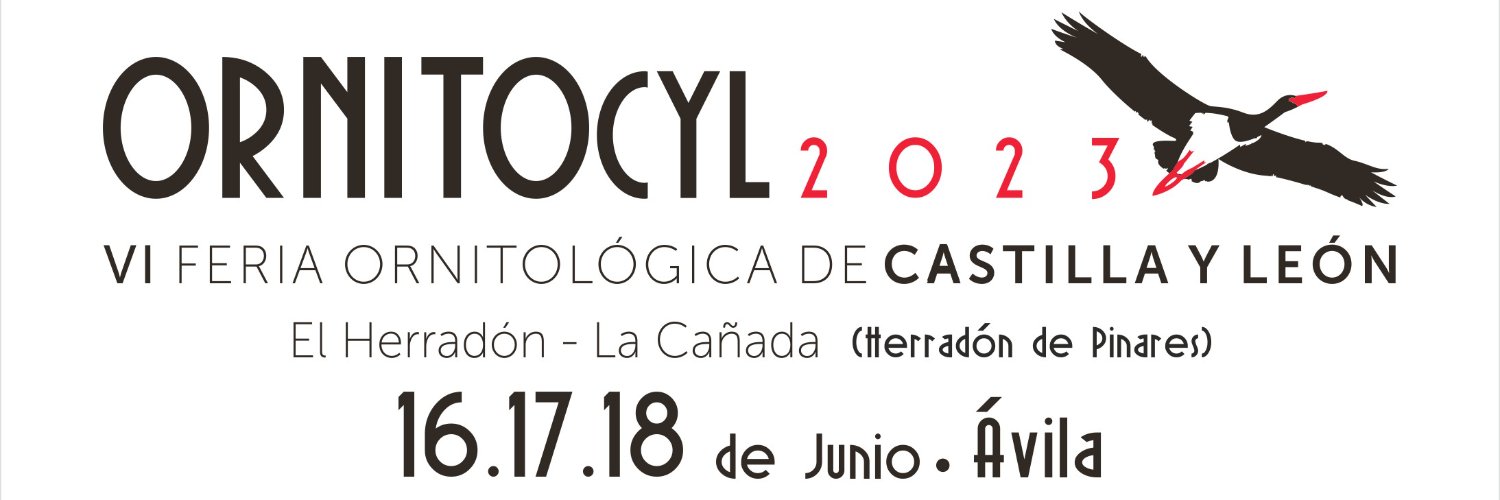 ornitocyl's profile banner image
