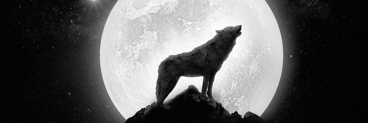 MGreatWhiteWolf's profile banner image