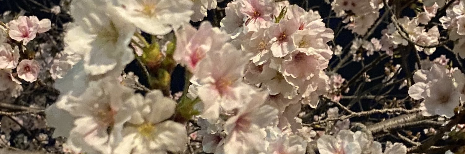 uedakumap's profile banner image