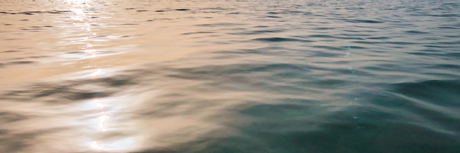 Leticia Díaz banner