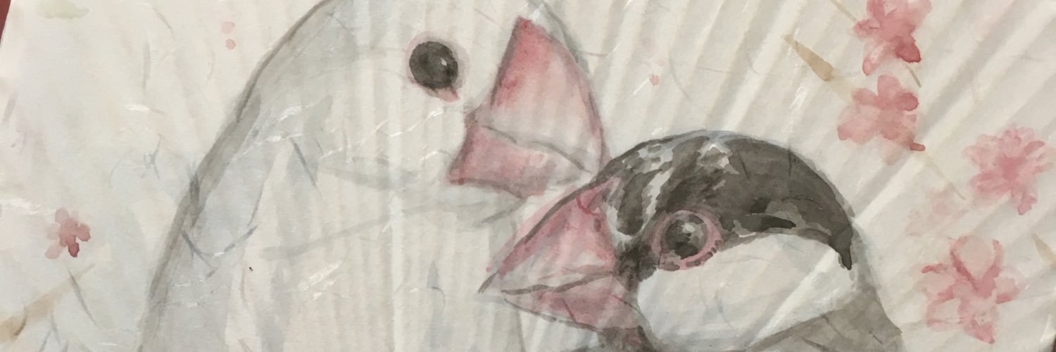 has_biro's profile banner image