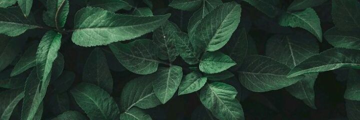 macahansen1's profile banner image