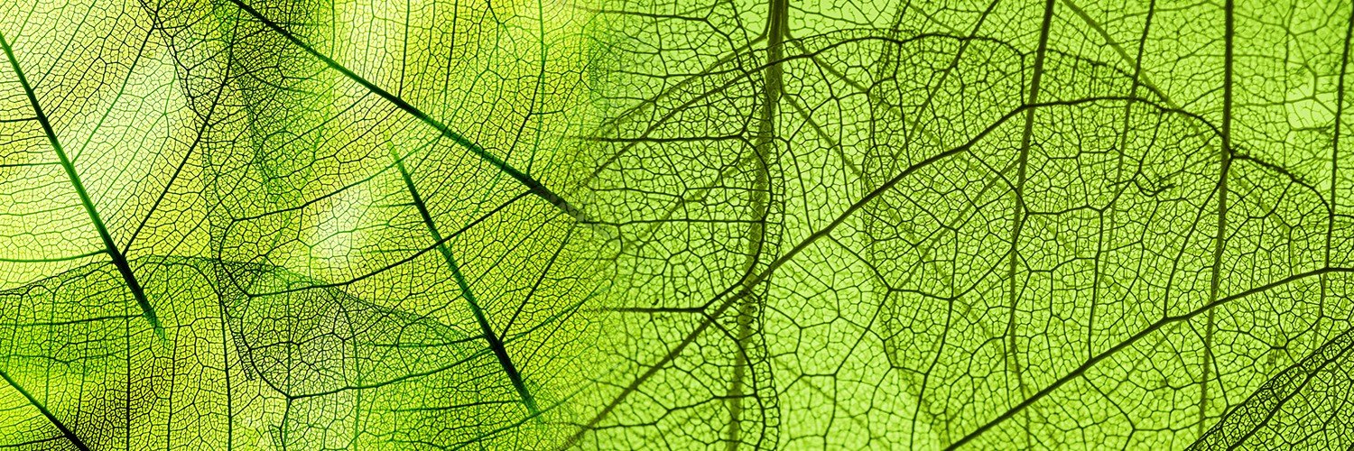 Trophic Communications banner