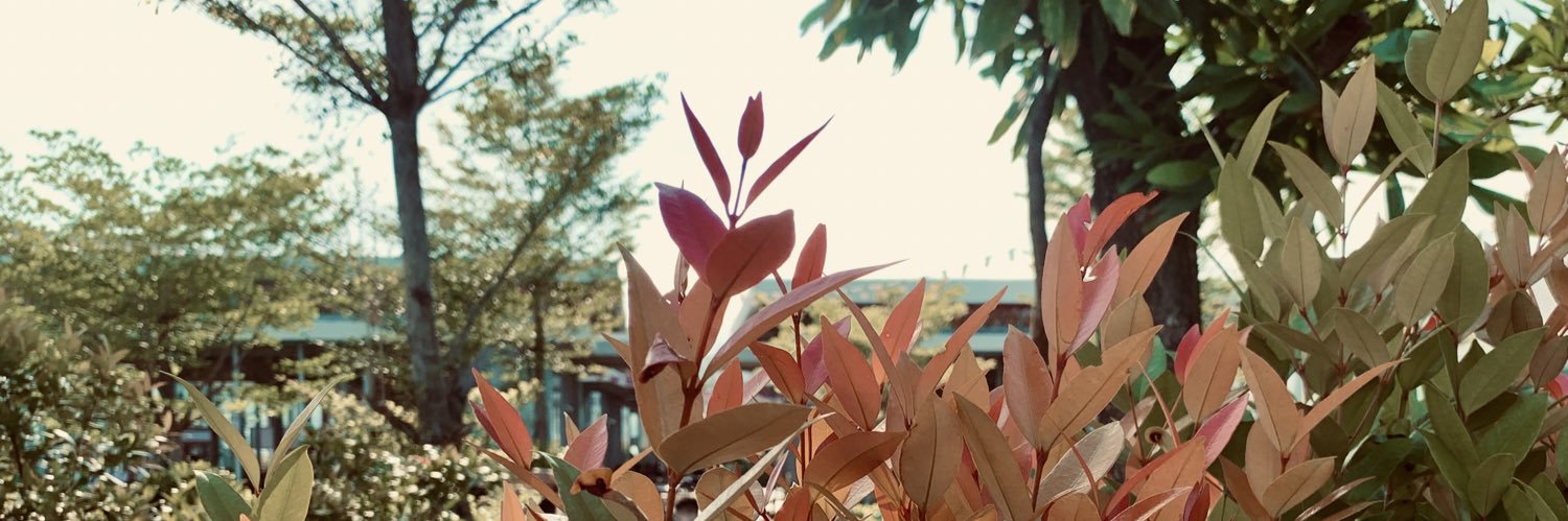 EwayanNikoh's profile banner image