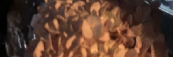 inging27 Profile Banner