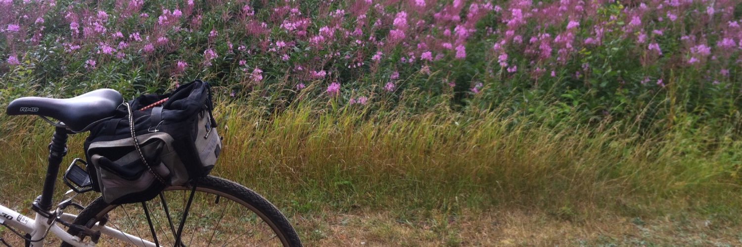 MonicaMPearce's profile banner image