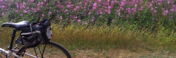 MonicaMPearce Profile Banner