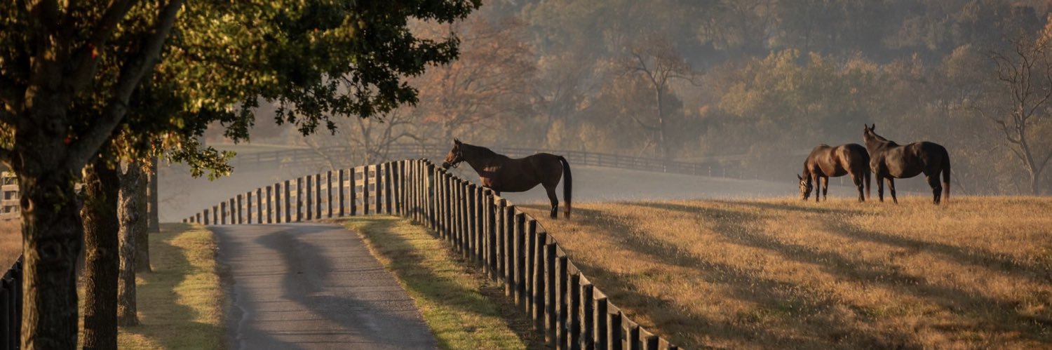 Carlos E Sanchez banner