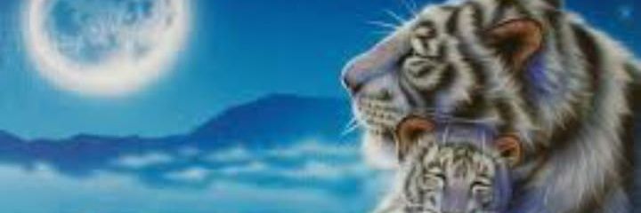 68_isis's profile banner image