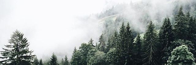 kdvx_'s profile banner image