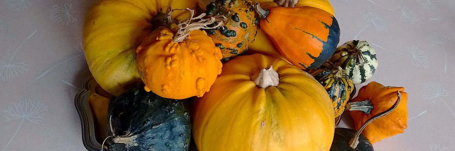 Francisca Staines banner